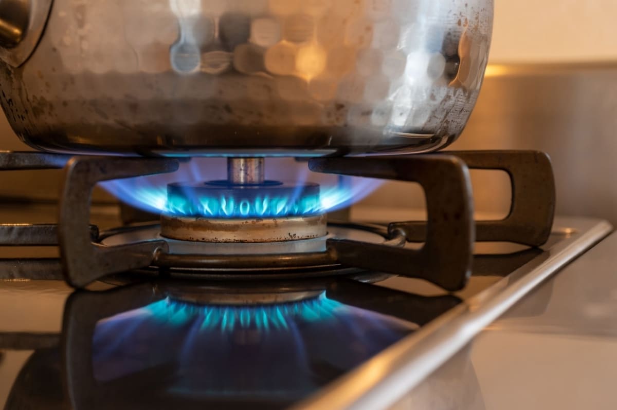cost to convert a natural gas stove to propane