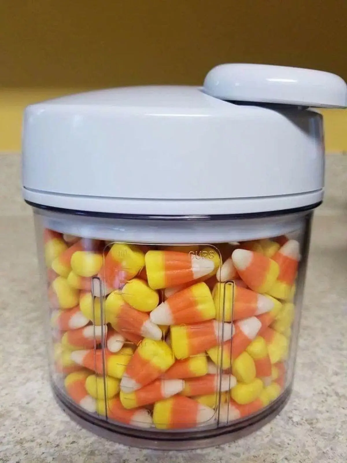 how many candy corns in the manual food processor